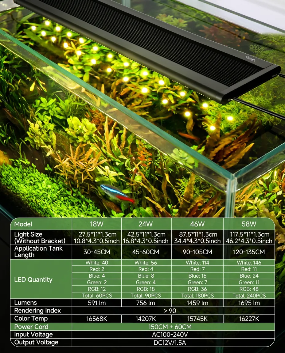 Best Automatic Fish Feeders for UK Holidays: 2024 Buyer Guide